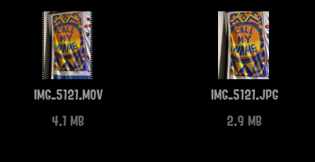 Two files, one labeled 'IMG_5121.MOV' and the other labeled 'IMG_5121.JPG'.